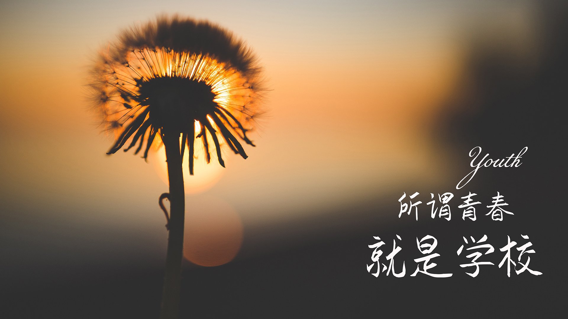 俱乐部世界杯-“血脉喷张：荒野追逐赛段中的生与死”