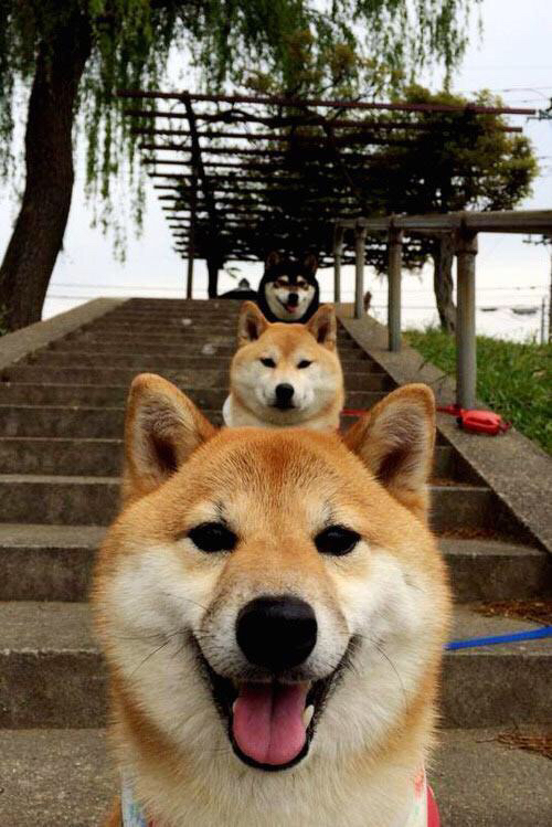 FIFA Club World Cup 2025-亚冠联赛中国队晋级 球员表现广受好评，中国亚冠资格