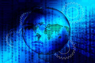 世界俱乐部杯在线观看-体育新闻中心发布体育短视频内容版权保护白皮书,体育宣传片视频素材