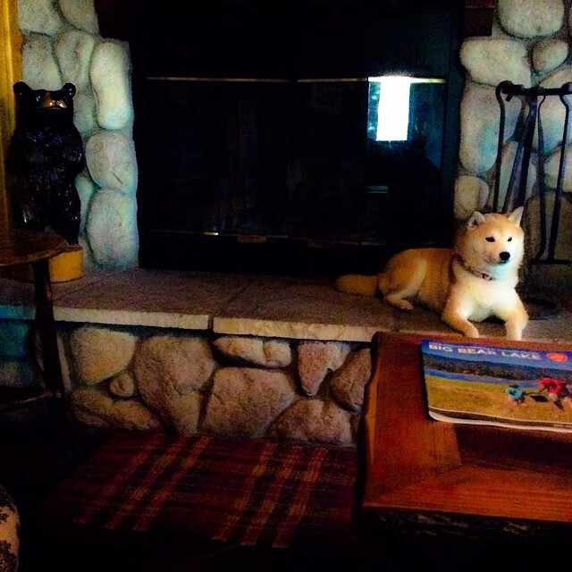 俱乐部冠军杯官网-划频偏快是否削弱后程冲刺？，划幅和划频